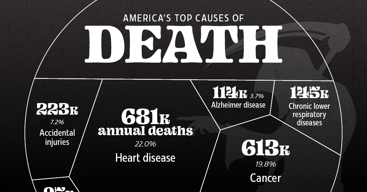 A visual data representation of mortality rates by cause in the U.S.