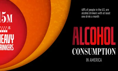 Cropped visual of alcohol drinkers in the U.S. in 2024