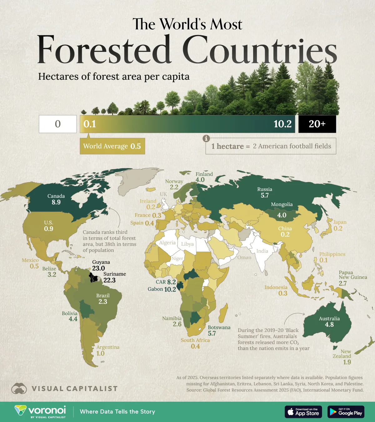 Map graphic showing forest area per capita in every country