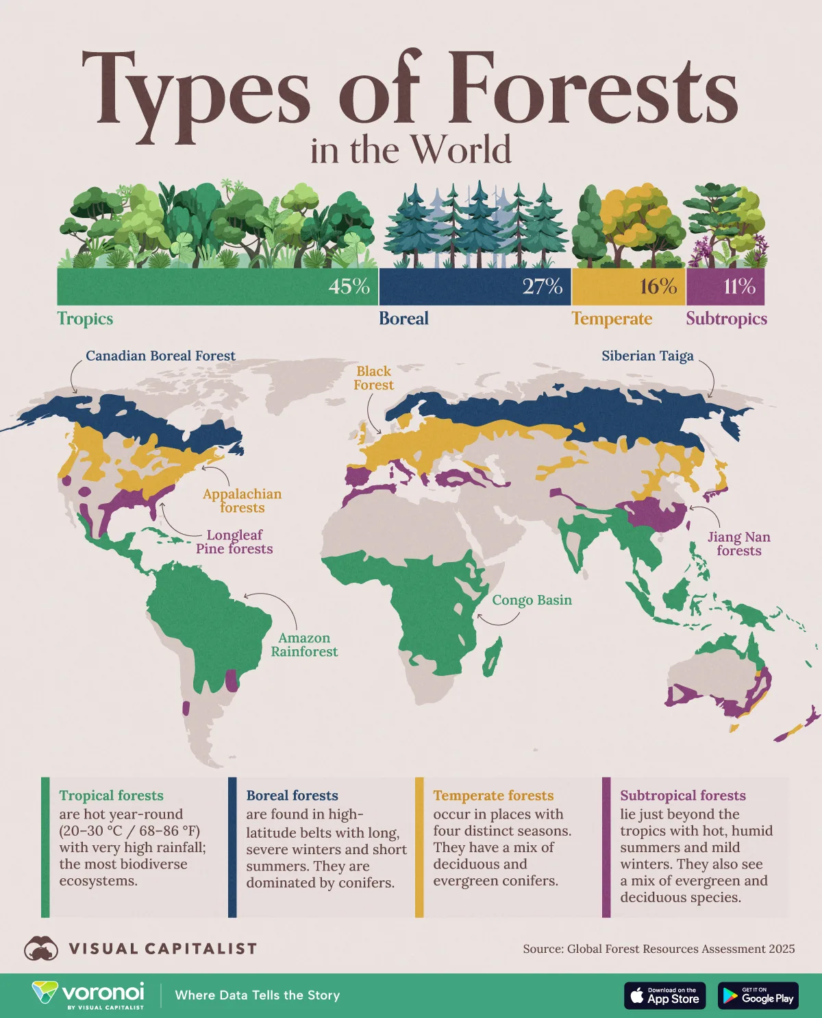 Map graphic showing the types of forests found around the world based on 2025 data