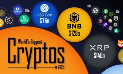Graphic showing the world’s biggest cryptocurrencies in 2025 by market cap.