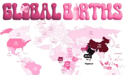 Map showing the number of births by country in 2025.