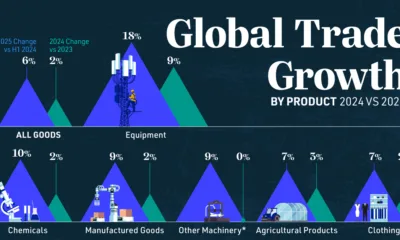 Illustrative graphic showing global trade trends by product in 2024 and 2025.