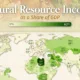 Map showing the share of a country’s economic output that comes from natural resources.