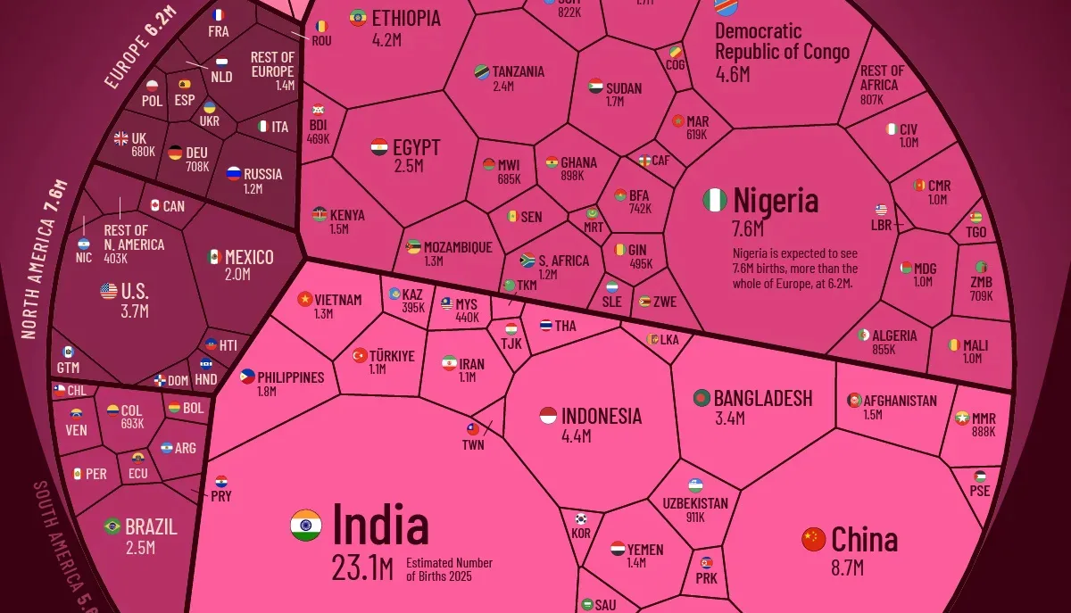 All of the World’s Births in 2025 in One Giant Chart