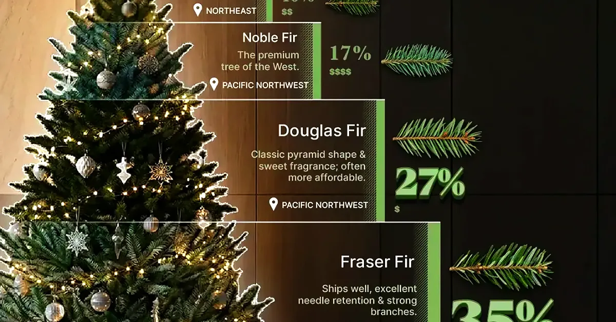 Charted: The Christmas Tree Market in the U.S.