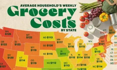Map showing the average weekly grocery bill by state in 2025.