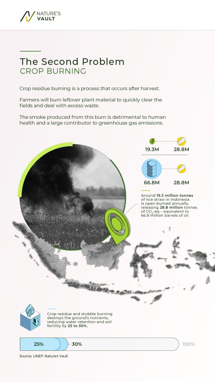 Graphic explaining what crop burning is and why it is bad for the environment.