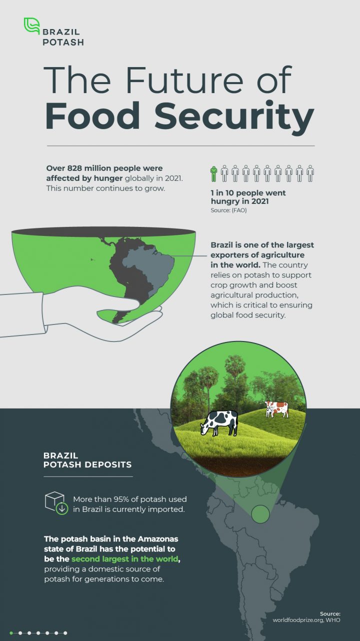 Graphic highlighting the potash deposits in Brazil and emphasizing that 95% of potash is imported.