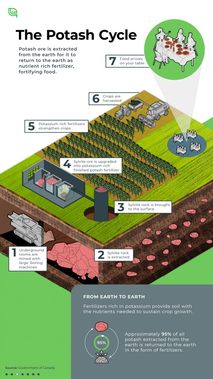 Graphic showing the potash cycle from extraction to the food we eat.